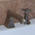 house01_12